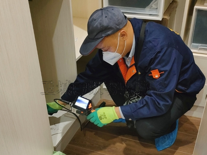 东莞茶山白蚁防治,石龙白蚁预防,石碣灭白蚁公司