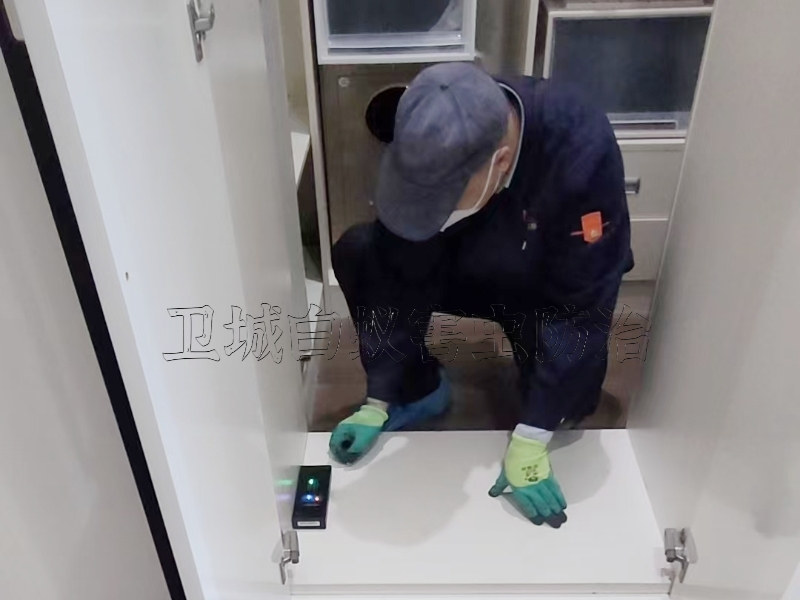 东莞茶山白蚁防治,石龙白蚁预防,石碣灭白蚁公司