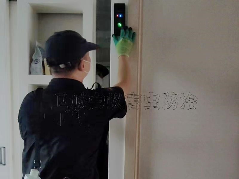 虎门白蚁防治公司,长安灭白蚁,厚街装修防白蚁中心认准卫城虫控资质企业